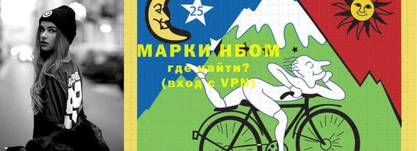 хмурый Алексин