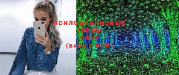 винт Алзамай